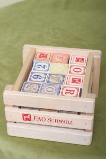 RARE FAO Schwarz ABC Wooden Children's Learning Building Blocks FAO Schwartz