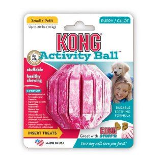 Kong Dog Chew Toy