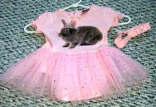 Baby Girls Sz 18 Months Spring Easter Bunny Baby Dress