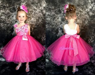 Lace Tulle Flower Girl Dress Wedding Pageant Party White Hot Pink Sz 3T 4T 213