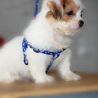Bone Paws Print Small Dog Pet Puppy Nylon Adjustable Leash Lead Harness Tool