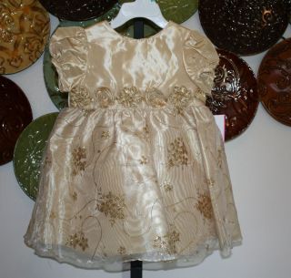 Supercute NWTS Size 18 Months Gold Holiday Christmas Dress from RARE Editions