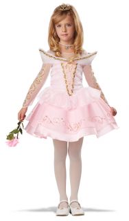 CK104 Sleeping Beauty Deluxe Girls Child Book Week Halloween Dress Costume