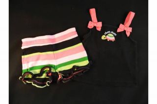 Toddler Girl Spring Summer Clothing Lot Size 12 18 18 18 24 and 24 Months
