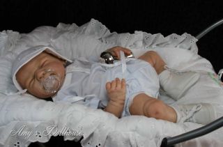 Amy's Dollhouse Lifelike Reborn Baby E Marx"Franklin" MRMH A C Tummy Plate