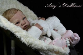 Amy's Dollhouse Lifelike Reborn Baby R Strydom"Porsha" MRMH A C Tummy Plate