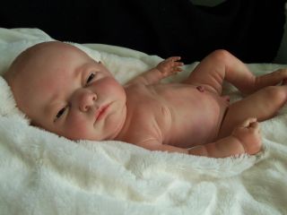 Reborn Anatomically Correct Berjusa Berenguer OOAK Baby Boy Doll Truman