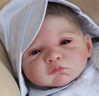 Beautiful Reborn Baby Boy Doll Ellenie Sam's Reborn Nursery