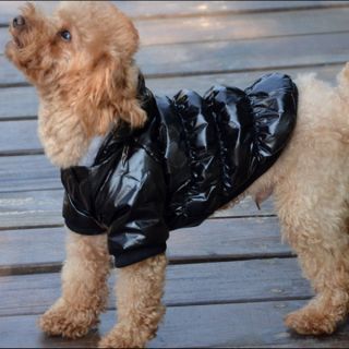 Soild Color Down Coat Winter Outwear Pet Apparel Clothes Cat Dogs Puppy Jackets
