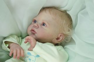 Beautiful Lifelike Reborn Baby Girl Rainer by Romie Strydom New Emily