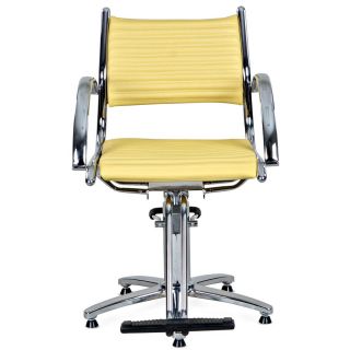 Modern Removeable COVER2 Salon Hydraulic Styling Chair SC 05X