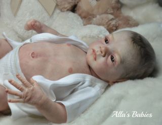 Alla's Babies Reborn Baby Doll Prototype Romeo Natali Blick L E 500