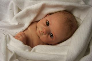 Reborn Baby Boy Doll New Release by Linda Murray Beautiful Little Baby Harry