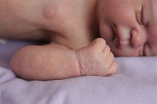 Newborn Reborn Baby Boy Doll Julian by Elisa Marx Full Torso