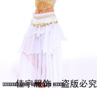 Belly Dance Costume Top Skirt