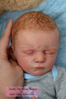 Charly Reborn Baby Boy Olga Auer Painted Hair Limited Edition Gorgeous Boy