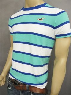 Hollister by Abercrombie Men Slim Muscle Fit Stripe T Shirt Tee