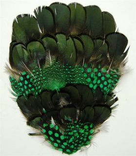 One Guinea Pheasant Feather Pad Green Headband Hats