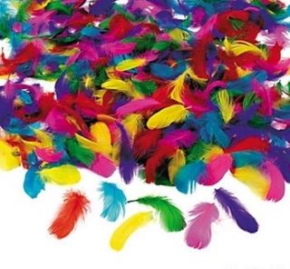 600 PC Wholesale Lot Bulk Feathers Assorted Colors Art Crafts Kids Party Game