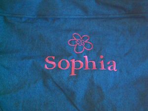 Pottery Barn Kids Anywhere Chair Cover Sophia Regular Denim New
