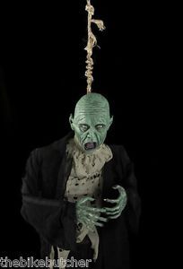 Rotting Corpse Hanging on A Noose Halloween Horror Prop