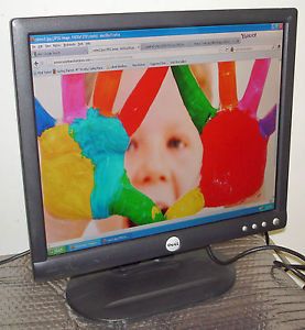 Details about Dell E172FPb 17 LCD Flat Panel Monitor w/Video Cable