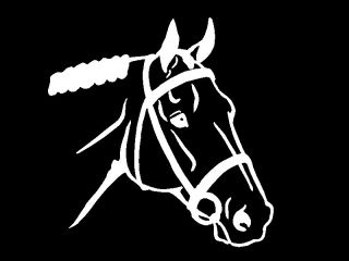 English Horse Head Equestrian Car Window Laptop Trailer Decal Sticker Graphic