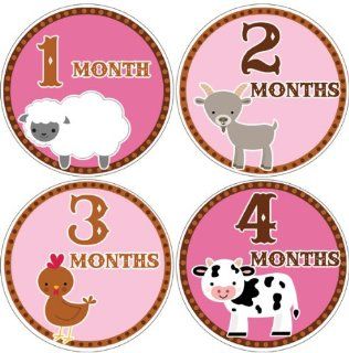 Farm Animals #145 Girl Baby Month Stickers for Bodysuit Baby