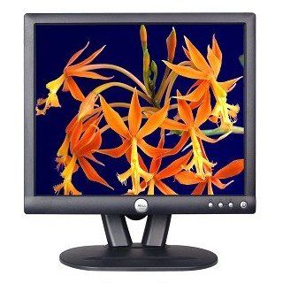 15" Dell E153FPf LCD Monitor (Charcoal Gray) Computers & Accessories