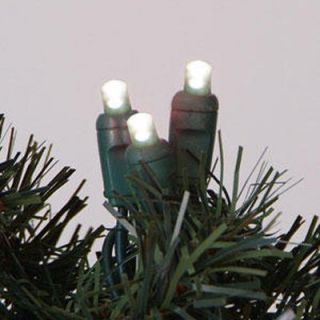Sterling 50 ct. Warm White 5MM LED Lights with Green Wire   Set of 6 Strings   Christmas Lights