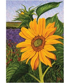 Toland 28 x 40 in. Fields of Gold House Flag   Flags