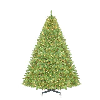 Sequoia Pre Lit Full Christmas Tree   Christmas Trees