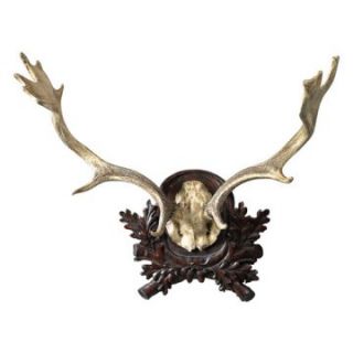 Oklahoma Casting Fallow Antler Wall Art   Wall Sculptures and Panels