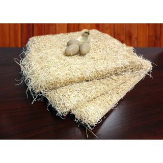 Precision Pet Products Chicken Nesting Pads 13 x 13 in.   10 count   Chicken Coop Accessories