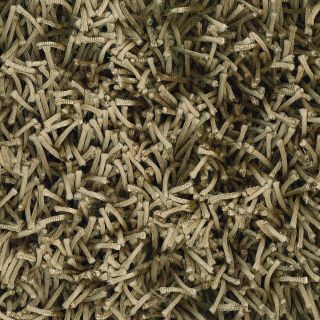 Dalyn Rug Illusions Shag Area Rug   Taupe   DO NOT USE
