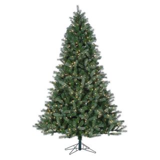 Pre Lit Natural Cut Arizona Fir Christmas Tree   Christmas Trees