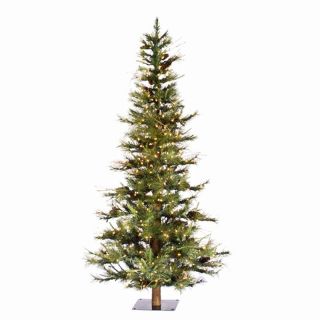 6 ft. Pre lit Clear Light Ashland Fir Christmas Tree with Wood Trunk   Christmas Trees
