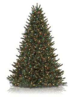 6.5' BH Vermont White Spruce Artificial Christmas Tree   Color+Clear   Vermont Spruce
