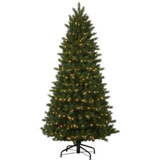 Vickerman 34391   6.5' x 48" Oregon Fir 500 Clear Lights Christmas Tree (S130266)