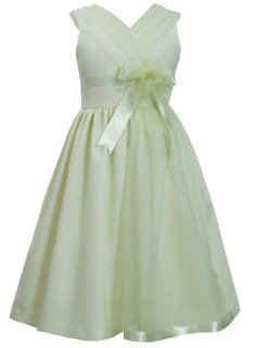 Bonnie Jean TWEEN GIRLS 7 16 PINK LINEN SEQUIN UPSWEEP FIT N FLARE Special Occasion Wedding Flower Girl Easter Party Dress (8, Green) Clothing