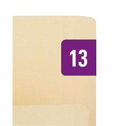 Smead Permanent Color Coding Yearly Labels 2013 1 x 12  Purple Pack Of 250