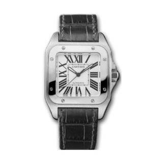  Catier Santos 100 Ladies Watch W20133X8 Cartier Watches