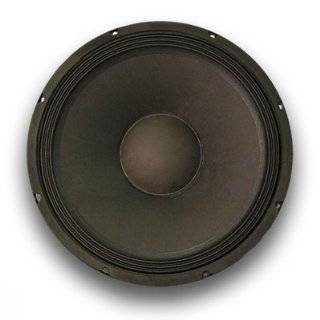 Seismic Audio   15 Raw Speaker Woofer Replacement PRO AUDIO PA / DJ