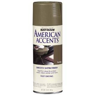   American Accents Spray, Satin Fossil, 12 Ounce