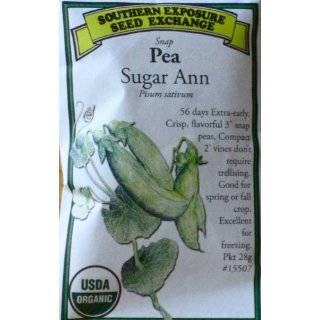  Dwarf Sugar Grey Peas Seeds   Pisum Sativum   8 Grams 