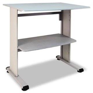 RTA Home and Office Tempered Glass and Metal Laptop and Utility Desk 